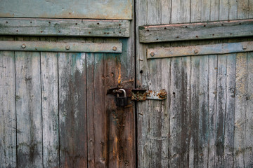 Old longhair street homeless dog close up portrait nature