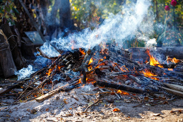 Large smoky bonfire in the garden.