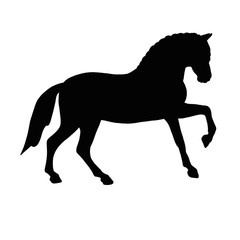 Fototapeta na wymiar Horse icon. Black silhouette of a farm animal 