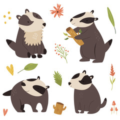 Set of cute forest badger characters.Vector design