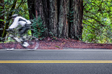Blurred cyclist on a road through redwoods
