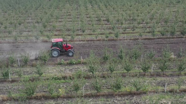 Apple plantation, orchard with anti hail net for protection from above, aerial shot, natural disaster and severa weather protection in agriculture, fruit production