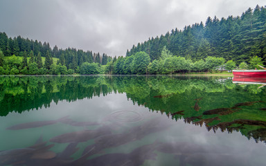 Savsat Karagol fishes and a wonderful nature reflection