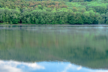 Reflection of forest in the lake (Santa Fe Lake, Montseny Natural Park, Catalonia, Spain)