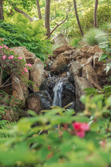 stream in the forest