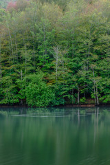 Reflection of forest in the lake (Santa Fe Lake, Montseny Natural Park, Catalonia, Spain)