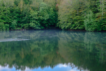 Reflection of forest in the water.