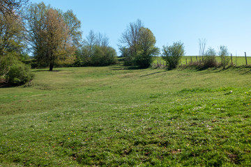 FRÜHLINGSSTIMMUNG . SPRING MOOD