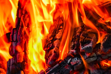 a Fire with coals and fire on nature picnic background. Burns out a bonfire for food on the street