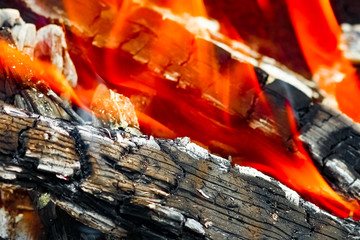 a Fire with coals and fire on nature picnic background. Burns out a bonfire for food on the street
