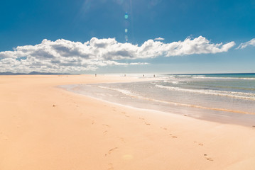 Fuerteventura island eternal spring