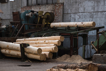 Bark removal from large logs on sawmill. Preparation of the wooden logs to sawing on a cutting line on a saw mill. Lumber industry. A pile of logs lie on a platform. Processing of timber at the
