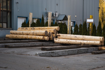 Wooden logs on a sawmill prepared to sawing on a cutting line. Lumber industry. A pile of logs lie on a platform. Processing of timber at the sawmill.