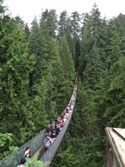 Capilano's suspention bridge