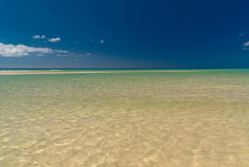 Fuerteventura island eternal spring