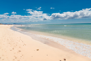 Fototapeta premium fuerteventura island Canaries