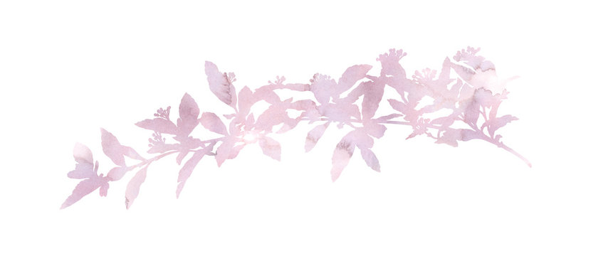 Beautiful branch. Hand painted decorative image isolated on a white background. Bright watercolour picture for creative design of posters, cards, invitations, banners, websites, etc. Pastel colours.