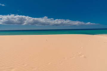 Fototapeta premium fuerteventura island Canaries