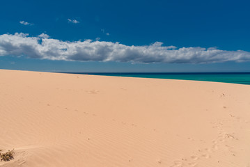 Fototapeta na wymiar fuerteventura island Canaries