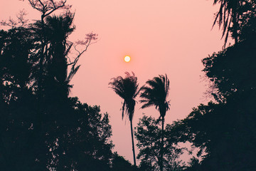 atardecer rojo