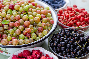 Summer berries background