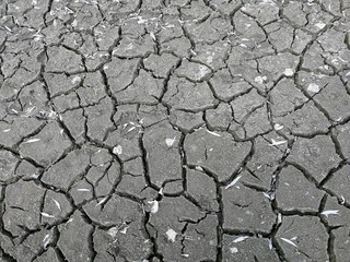 cracked asphalt texture