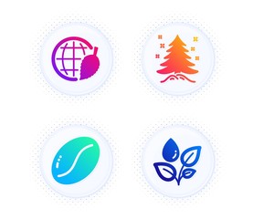Environment day, Christmas tree and Coffee beans icons simple set. Button with halftone dots. Plants watering sign. Safe world, Spruce, Vegetarian seed. Water drop. Nature set. Vector