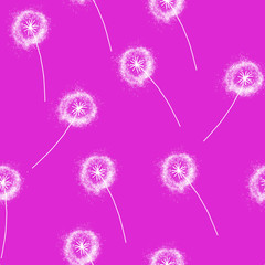 Floral pattern with hand drawn dandelions on pink background. Endless pattern for wallpaper, pattern fills, web page background, surface textures. Hand drawn dandelion, botany