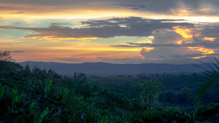 View Mountains Coffee Colombia South America