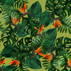 Original seamless tropical pattern with Strelitzia and leaves on light green background. Seamless pattern with colorful leaves of colocasia, filodendron, monstera. Exotic wallpaper. Hawaiian style © Olena