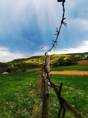 Close-up shot of a barbed wire fence with cluds and forests in the background
