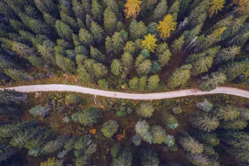 Garden poster Road in forest Scenic aerial view of a winding trekking path in a forest. Trekking path in the forest from above, drone view. Aerial top view of a trail in the middle of a forest. Aerial view of footpath in forest.