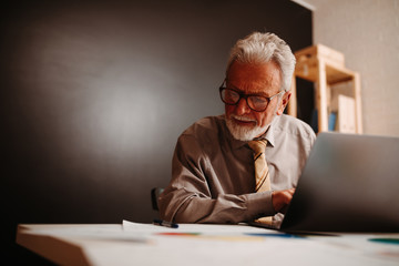 Portrait of blonde elderly woman presenting quarterly results to her business partner.