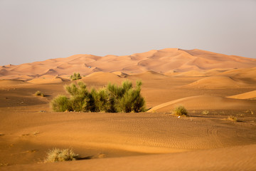 Fototapeta na wymiar Middle East desert - colorful patterns of the Liwa Desert, which is part of the Rub al Khali Desert or Empty Quarter desert, straddling UAE, Oman, Yemen and Saudi Arabia.