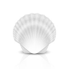 Vector 3d Realistic White Closed Scallop Pearl Seashell Icon Closeup Isolated on White Background. Design Template. Front View