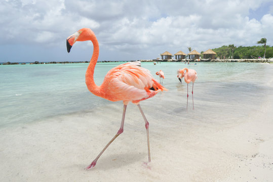 Aruba