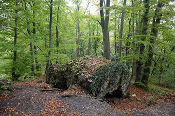 Felsen bei Schriesheim