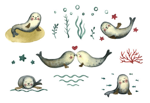 Watercolor set with cute grey seals