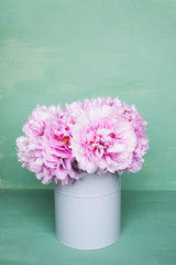 Fresh pink peony flowers in full bloom on mint green background.