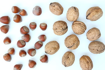 Superfoods - Superfoods - Nuts - Walnuts and hazelnuts on white background
