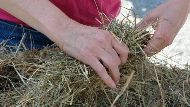 H&auml;nde einer Frau flechten oder binden einen Kranz mit Stroh oder Heu
