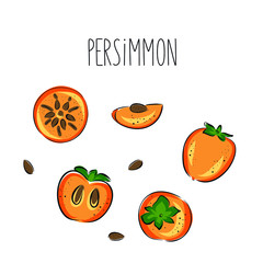 Bright vector set of colorful half, slice and whole of juicy persimmon. Fresh hand draw and doodle persimmon on the white background. Juice or jam logotype. Vector illustration