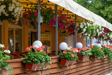 summer terrace decorated in flowers with tubs