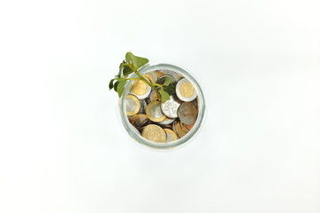 Failed investment concept. Glass jar with coins and wilted plant leaves. Top view, flat lay, in white background.