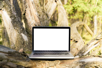Laptop outside concept. Empty copy space, blank screen mockup. Soft focus laptop in nature background. Ecology travel and work outside office concept.