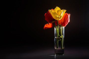 Obraz premium Yellow and red tulips in a small glass vase on a dark background