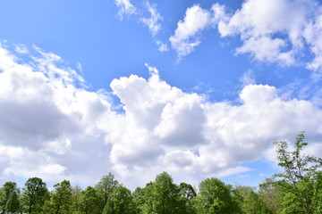 Obraz premium Haufenwolke