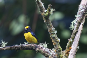 Fototapeta premium NATURALEZA, VIDA Y DETALLES EN UN RECINTO DE LOS SUEÑOS