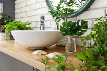 Interior of bathroom with natural jungle of plants. Bathroom with ceramic washbasin, faucet and green plant and leaves on wooden counter. Greenery at design home. Close up