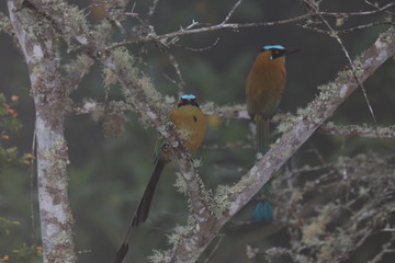 NATURALEZA, VIDA Y DETALLES EN UN RECINTO DE LOS SUEÑOS